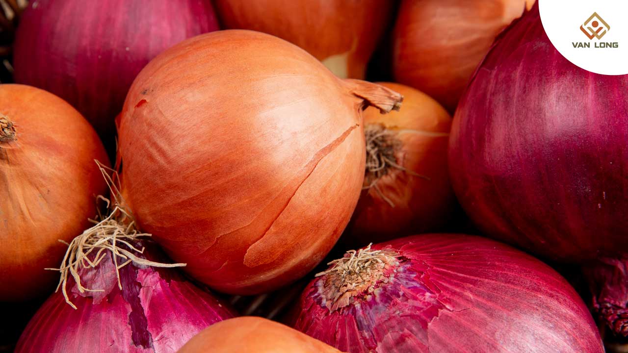 hành tây chứa chất Quercetin chống viêm mạnh