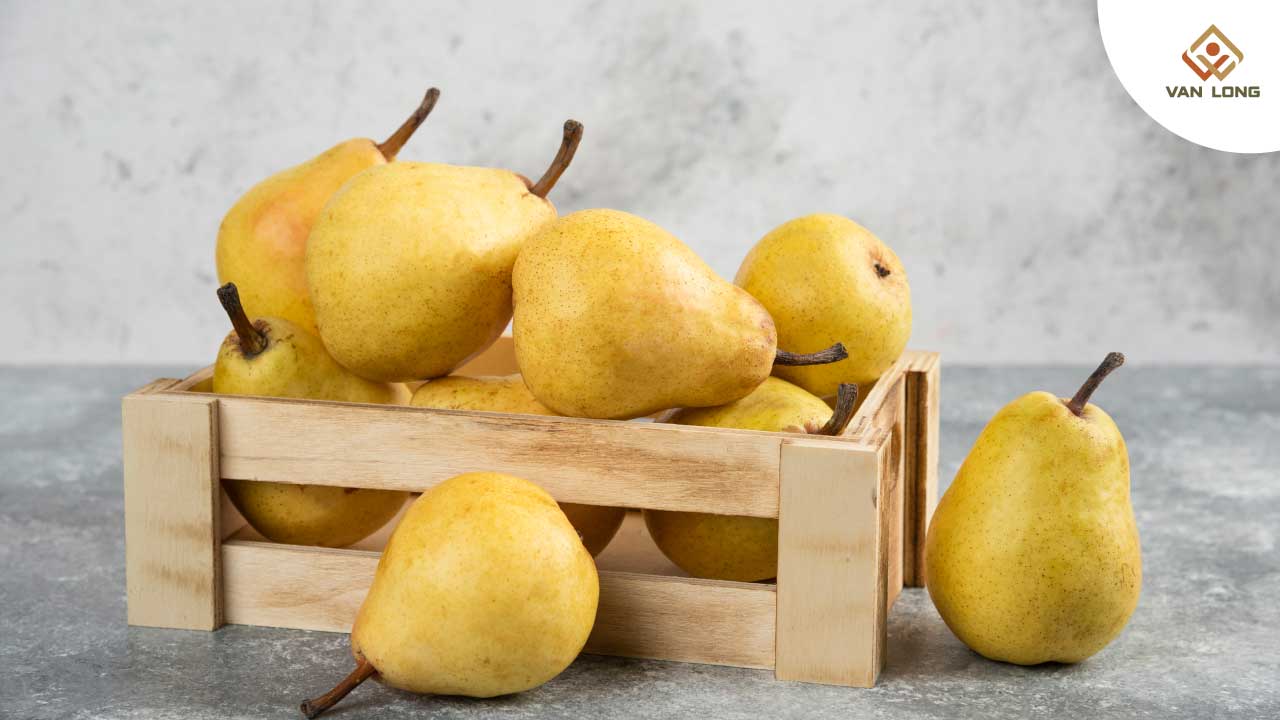 lê làm mát phổi giảm ho