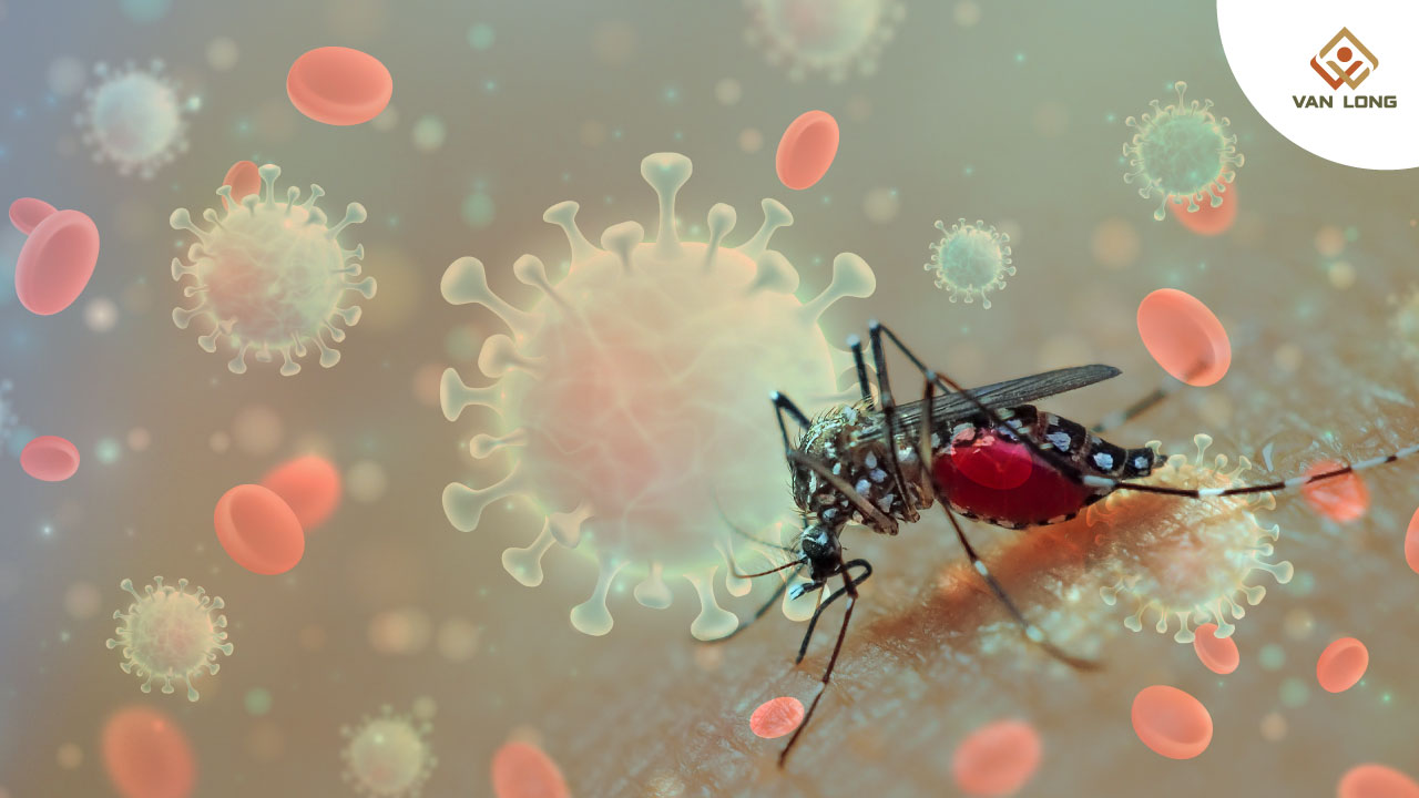 Virus Chikungunya là gì