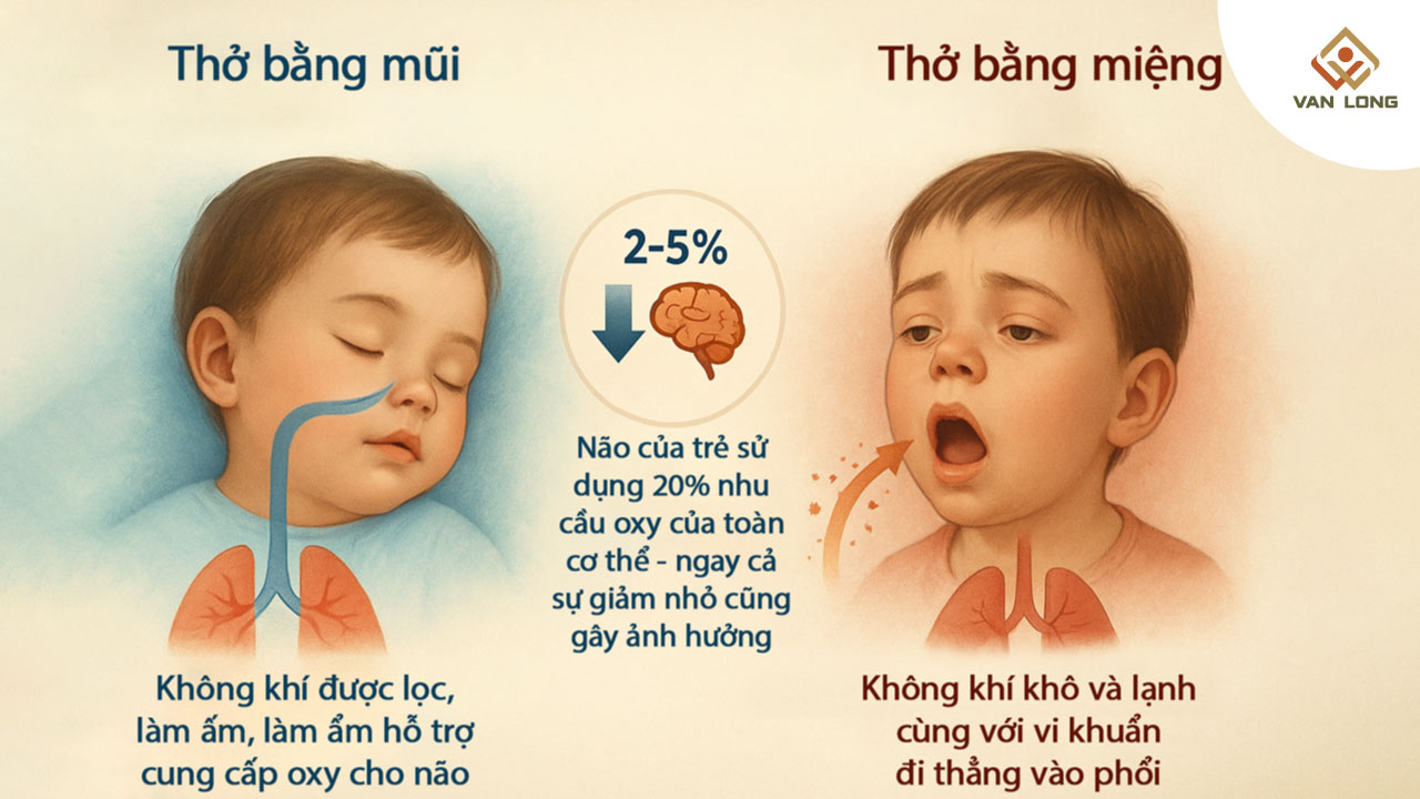 Cơ chế liên hệ giữa nghẹt mũi, thiếu oxy và chức năng não