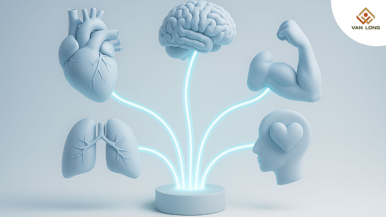 Vai trò của oxy liệu pháp trong điều trị bệnh mạn tính