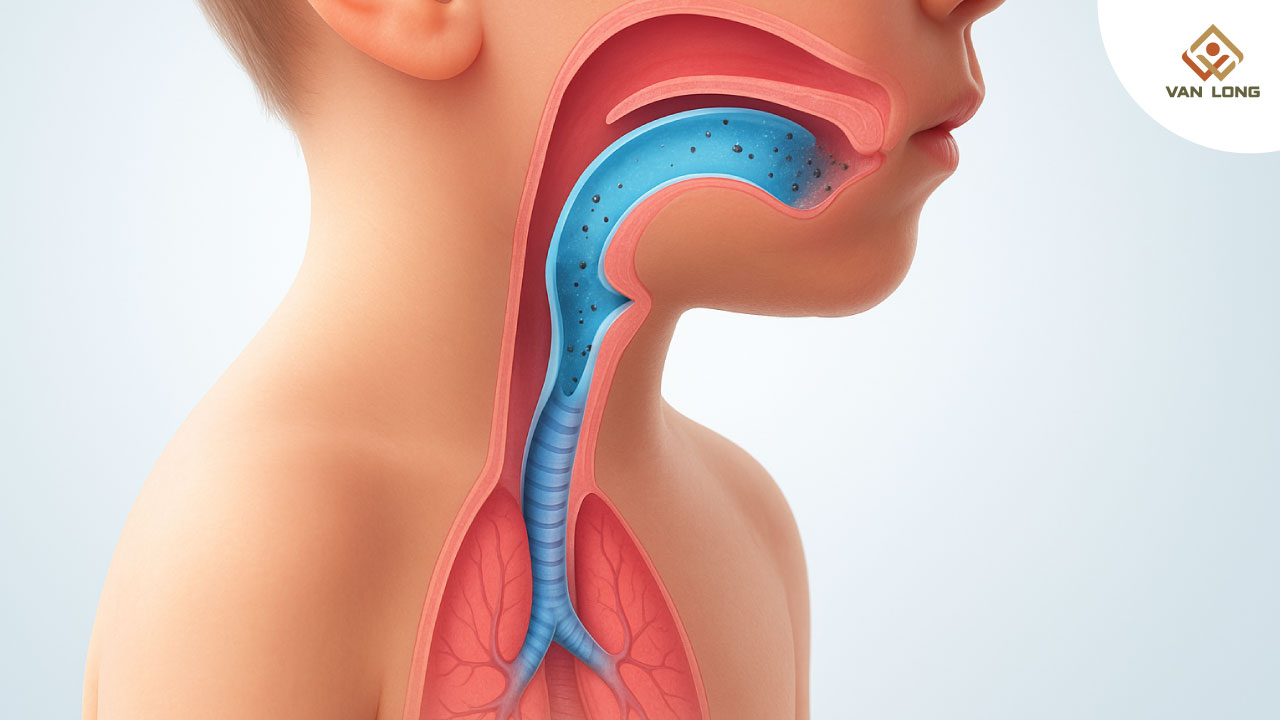  Vì sao trẻ dễ bị tắc mũi mạn tính hơn người lớn