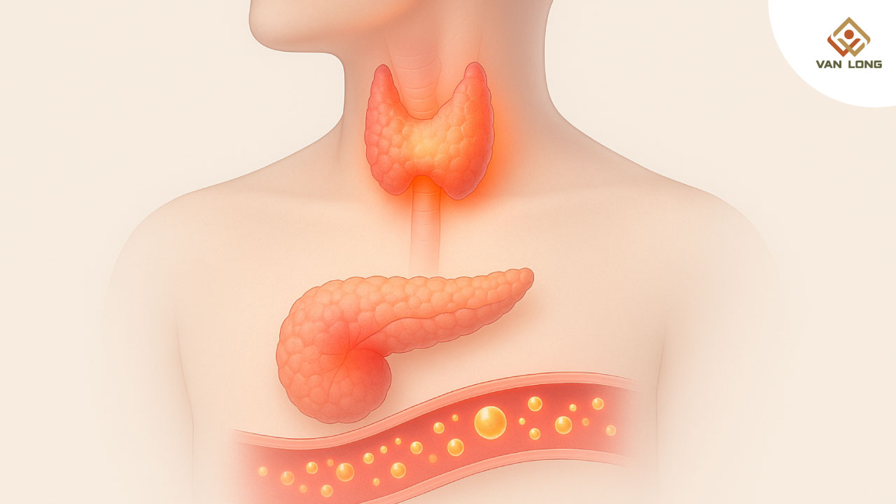 Tuyến giáp và đường huyết: mối liên hệ quan trọng nhưng ít được nhắc đến