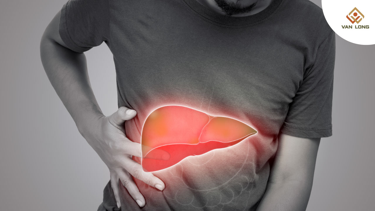 Tổng quan về gan nhiễm mỡ