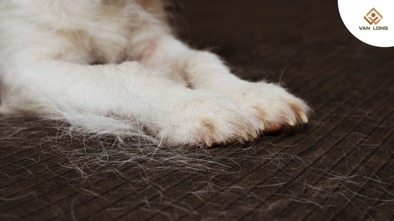  Môi trường trong nhà: “Ổ chứa kích ứng” chiếm tới 70% nguyên nhân viêm mũi ở trẻ