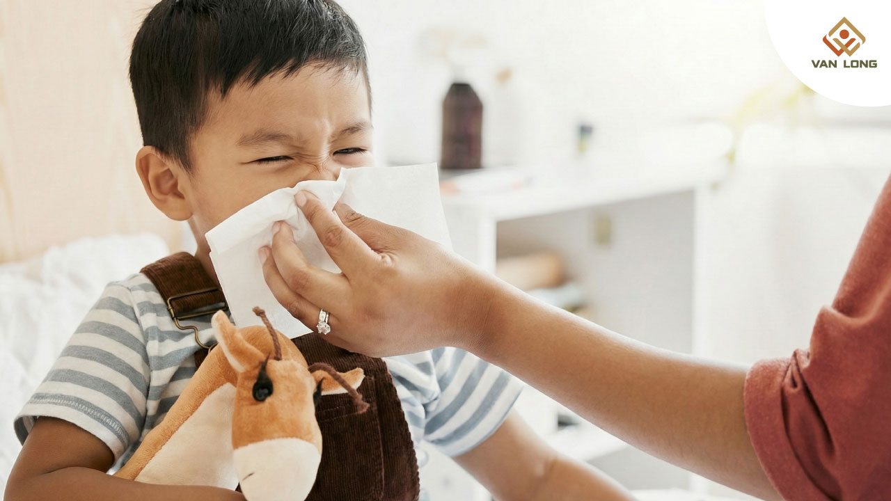 Phân tích theo vùng địa lý